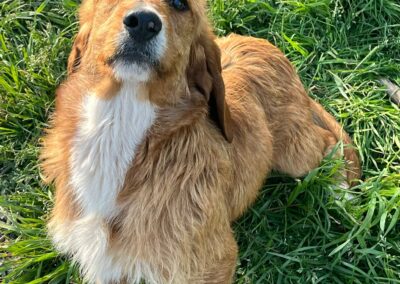 Flynn