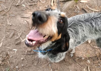 Murphy