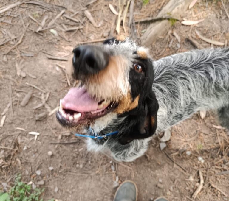 Murphy